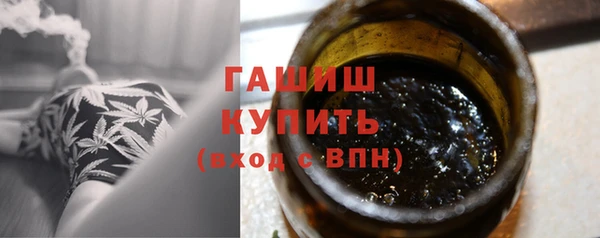 прущие грибы Алзамай