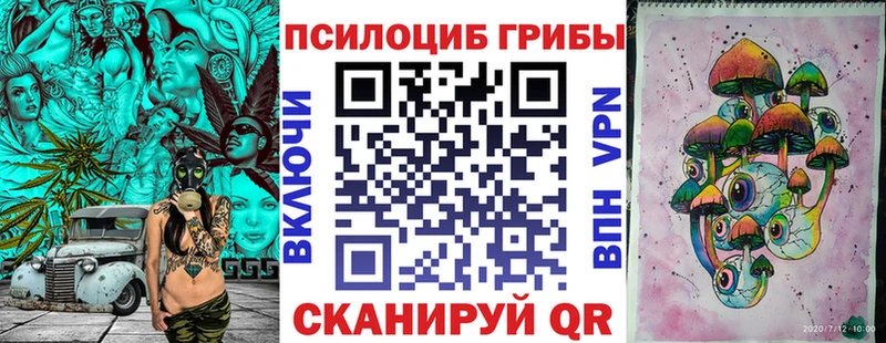 закладка Большой Камень Псилоцибиновые грибы MAGIC MUSHROOMS